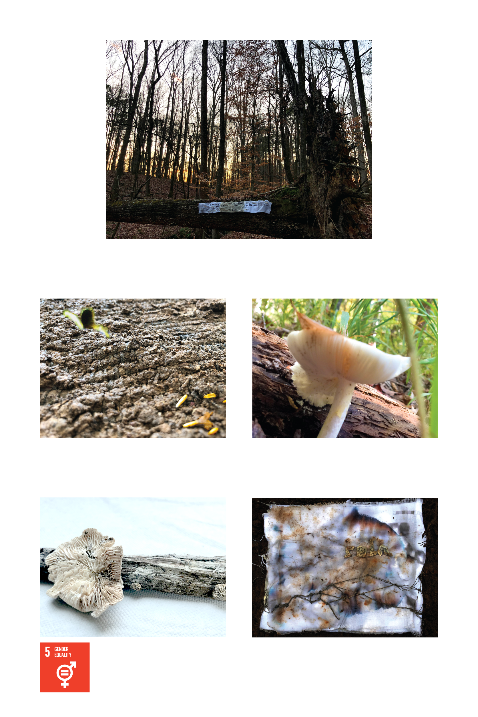 Katherine E. Bennett